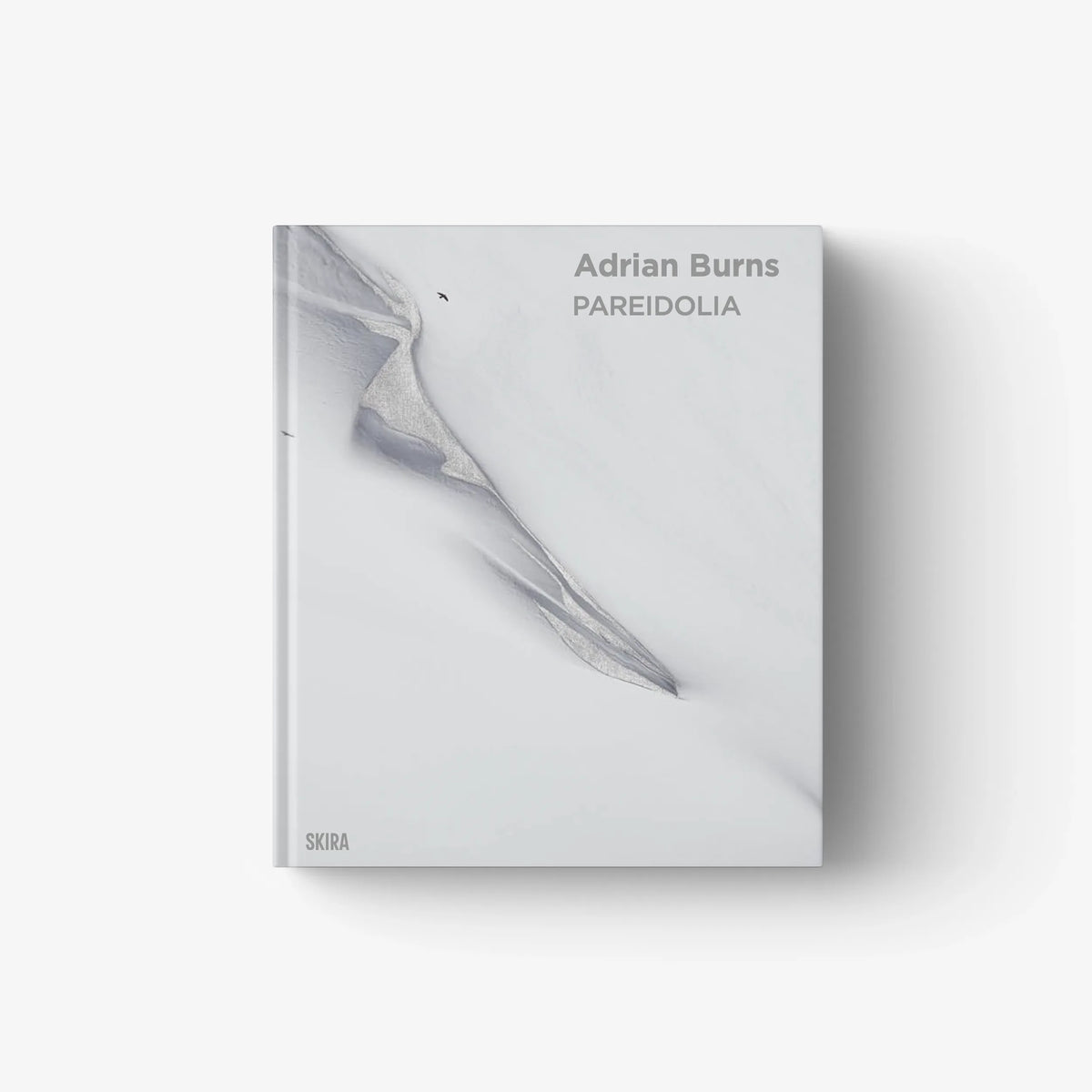Gray hardcover art book cover with whale image and text “Adrian Burns / PAREIDOLIA”