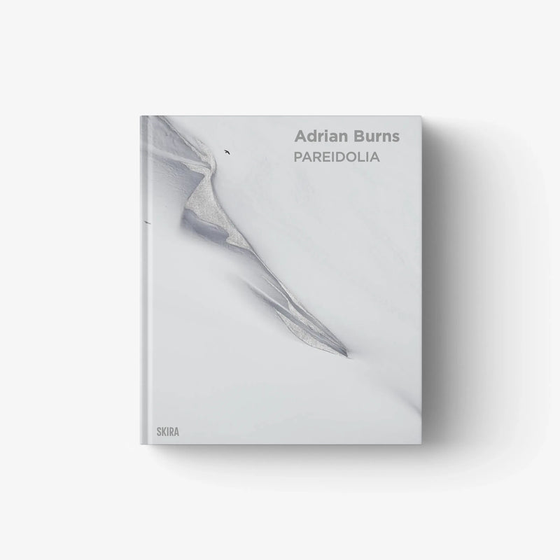 Gray hardcover art book cover with whale image and text “Adrian Burns / PAREIDOLIA”