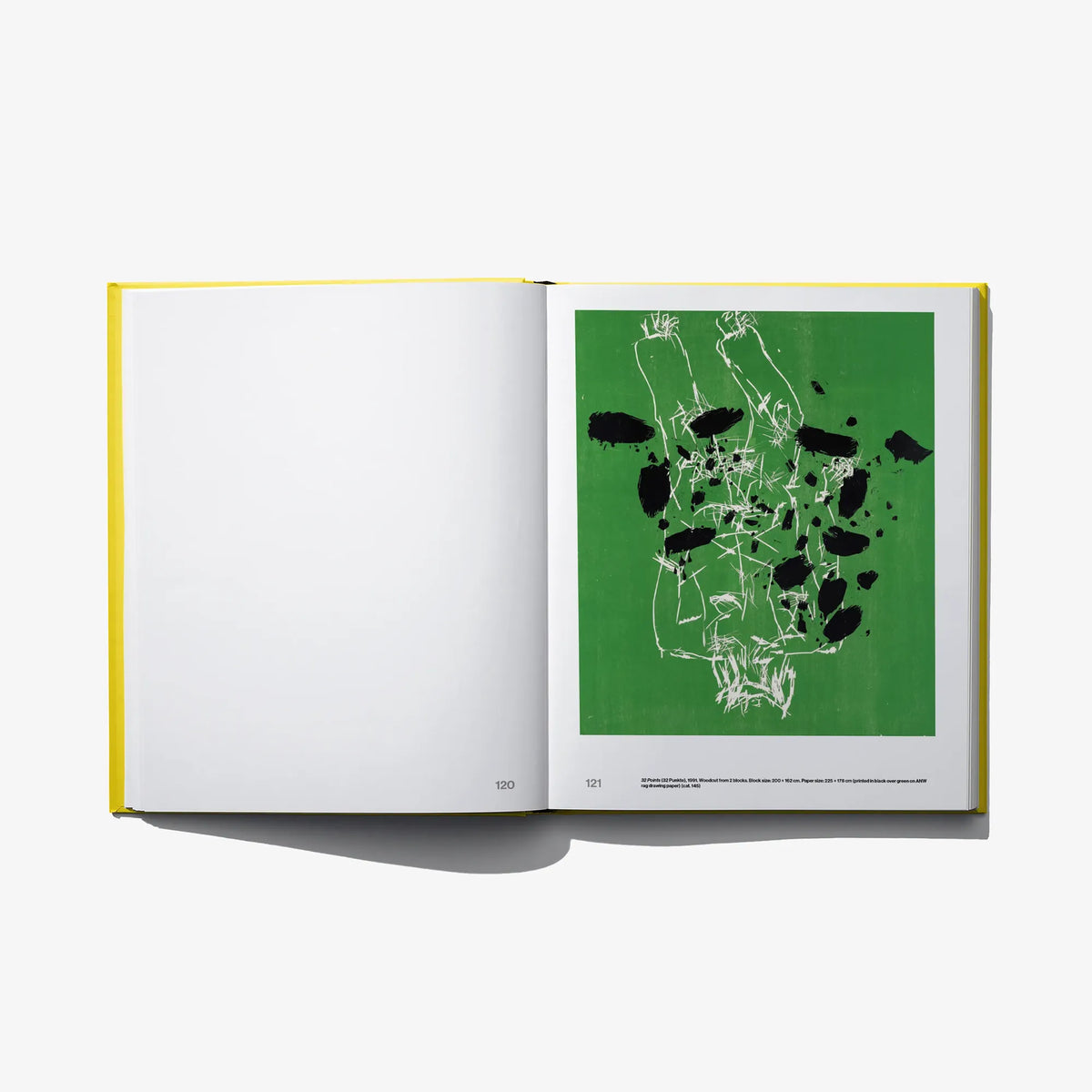 Opened art book with blank left page and green abstract print on right