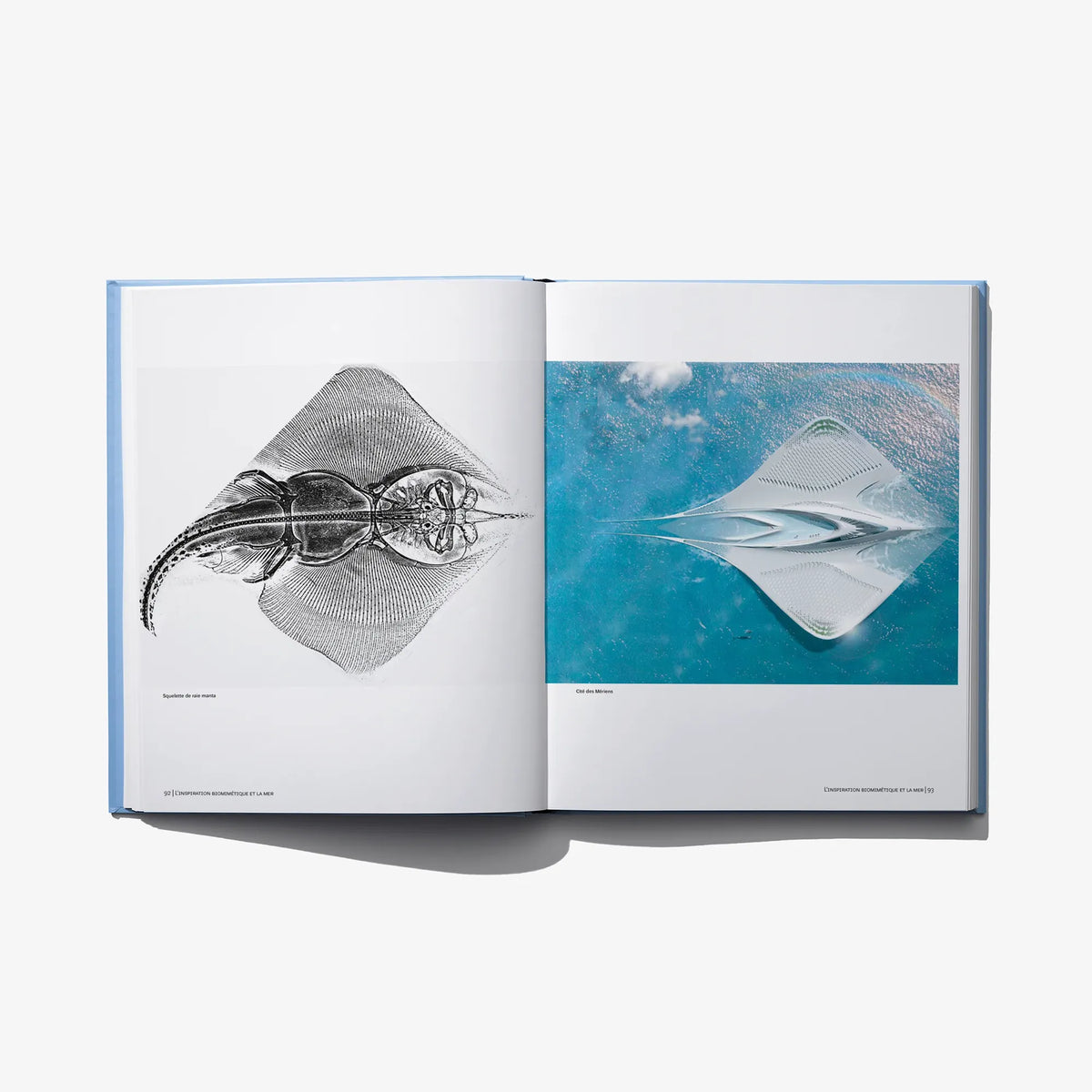 Open hardcover book with gray and blue creature sketches on left and right pages