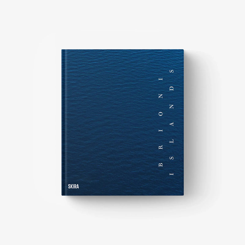 Blue photo book cover with vertical title text and SKIRA at bottom left.