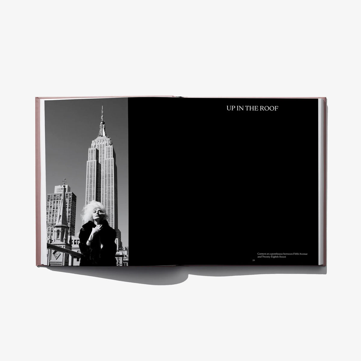 Open hardcover fashion book with black-and-white city skyline photo on left page