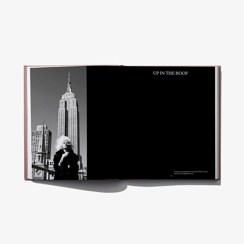 Open hardcover fashion book with black-and-white city skyline photo on left page