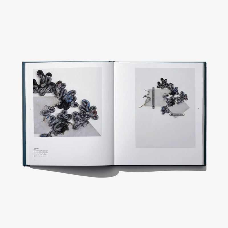 Open art book spread showing two grayscale bead-like sculpture photographs.