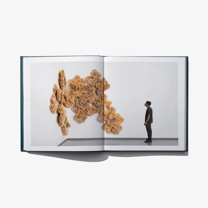 Open art book spread with tan sculptural wall forms and a standing figure photo.
