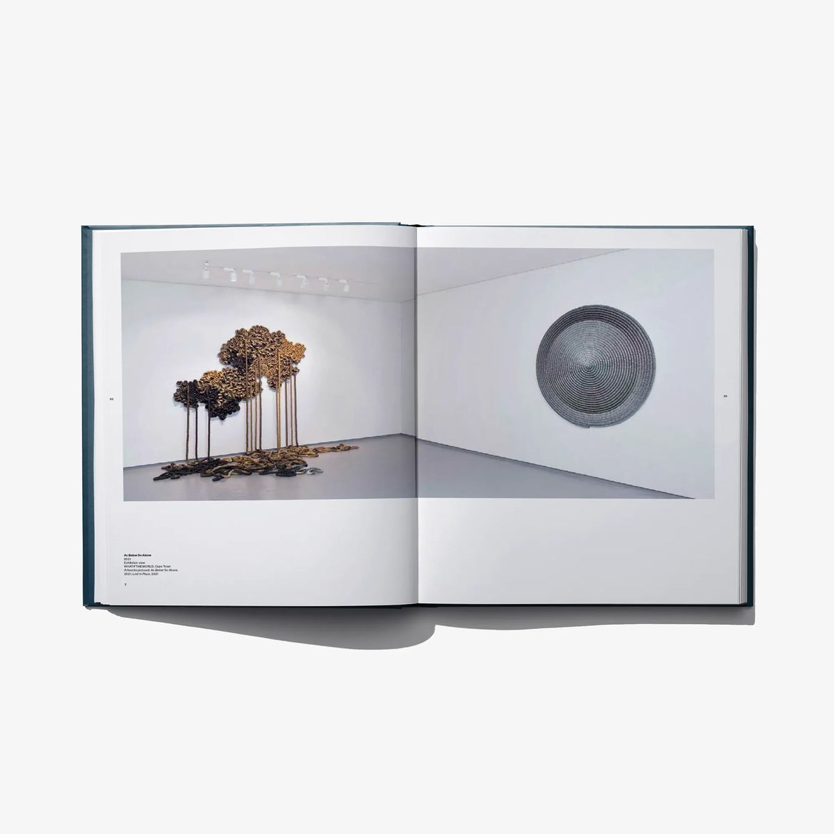Open art book spread featuring bronze branch sculptures and a gray circular wall piece.