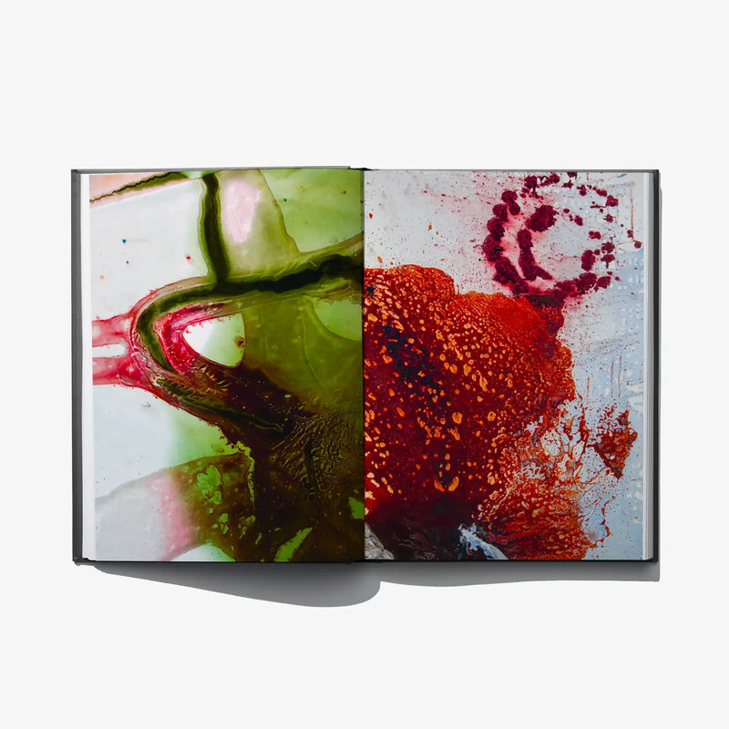 Open art book spread with colorful abstract circular textures across left and right pages