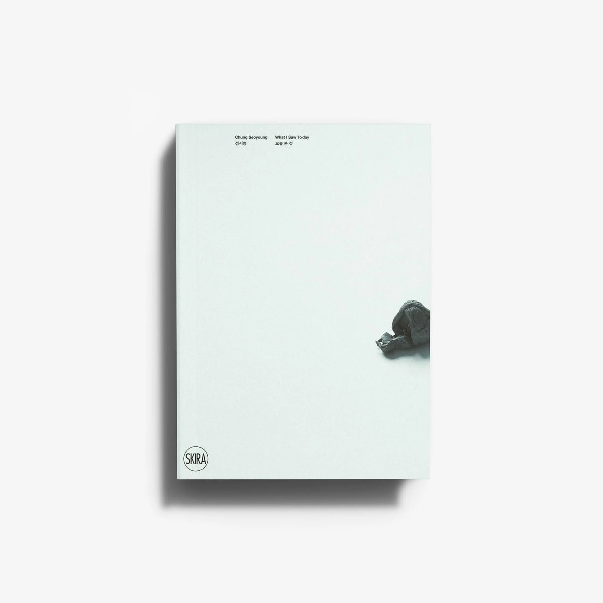 Contemporary art monograph book in pale mint green with Skira Arte, featuring a sculptural practice survey from the 1990s