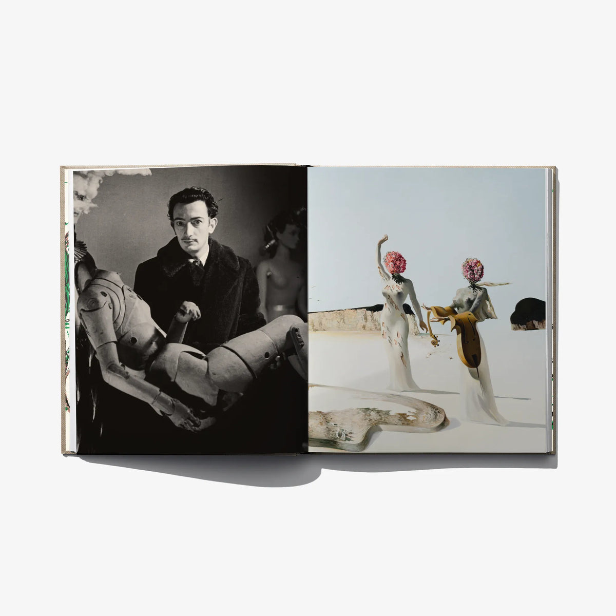 Open fashion art book with black-and-white portrait spread and color fashion scene