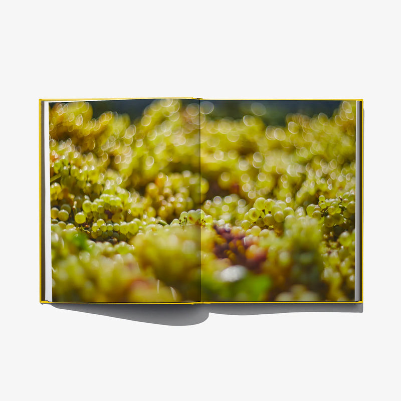 Open book spread with close-up green grape cluster photo across the pages