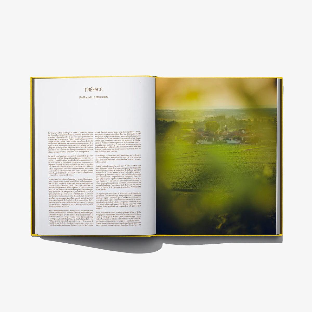Open book spread with printed text on left and green vineyard landscape photo on right