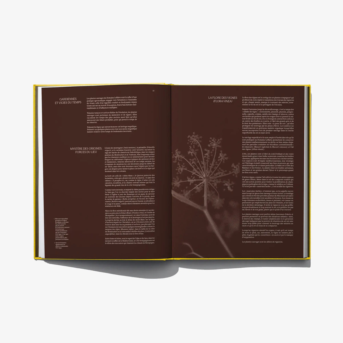 Open wine book spread with two paragraphs and faint tree illustration in brown