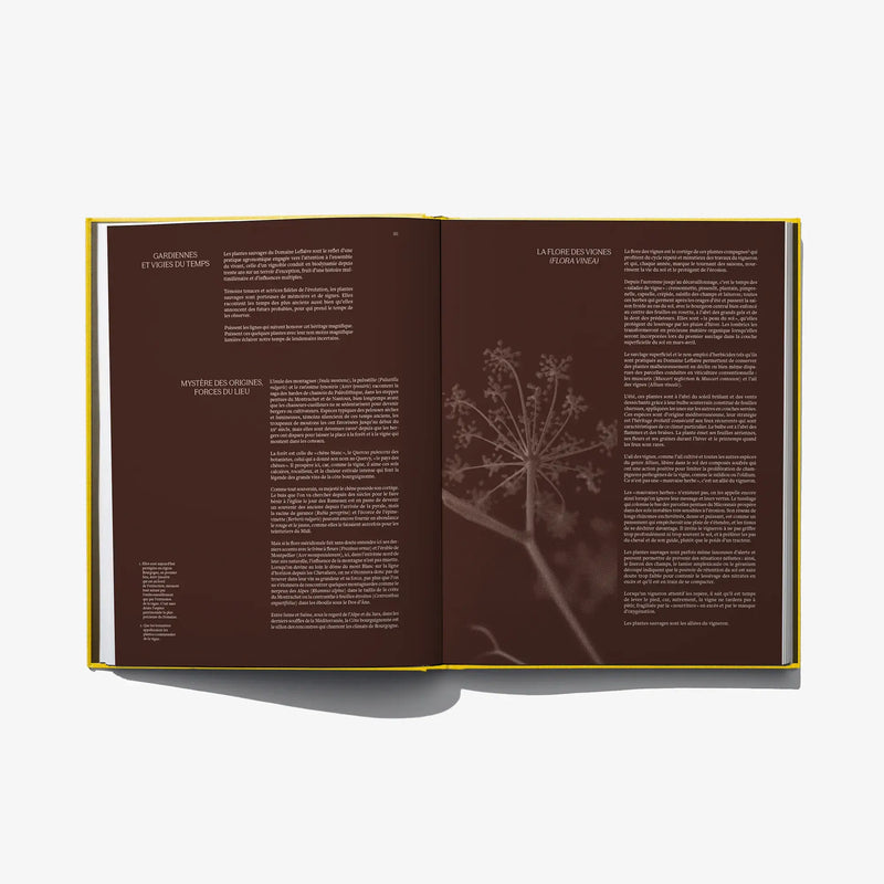 Open wine book spread with two paragraphs and faint tree illustration in brown