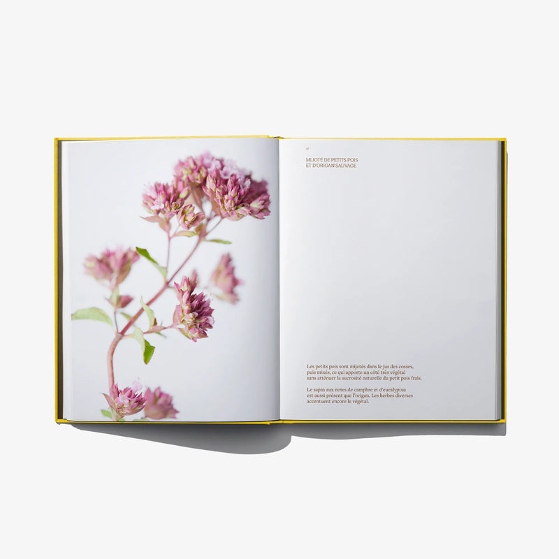 Open book spread with pink flower branch photo on left and text on right