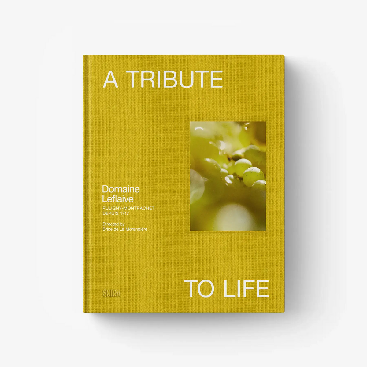 Green hardcover book with window panel and title typography on the front cover