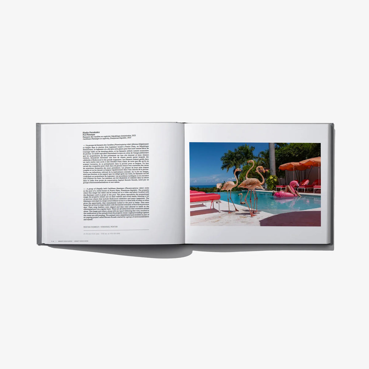 Hardcover photo award book open, white pages with flamingo pool photo and printed text.