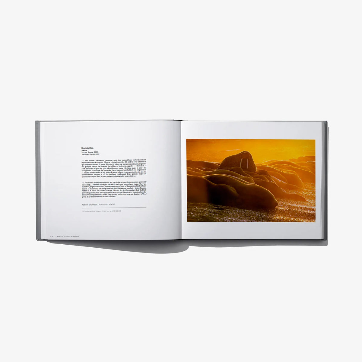 Hardcover photo award book open, white pages with golden desert animal photo and text.