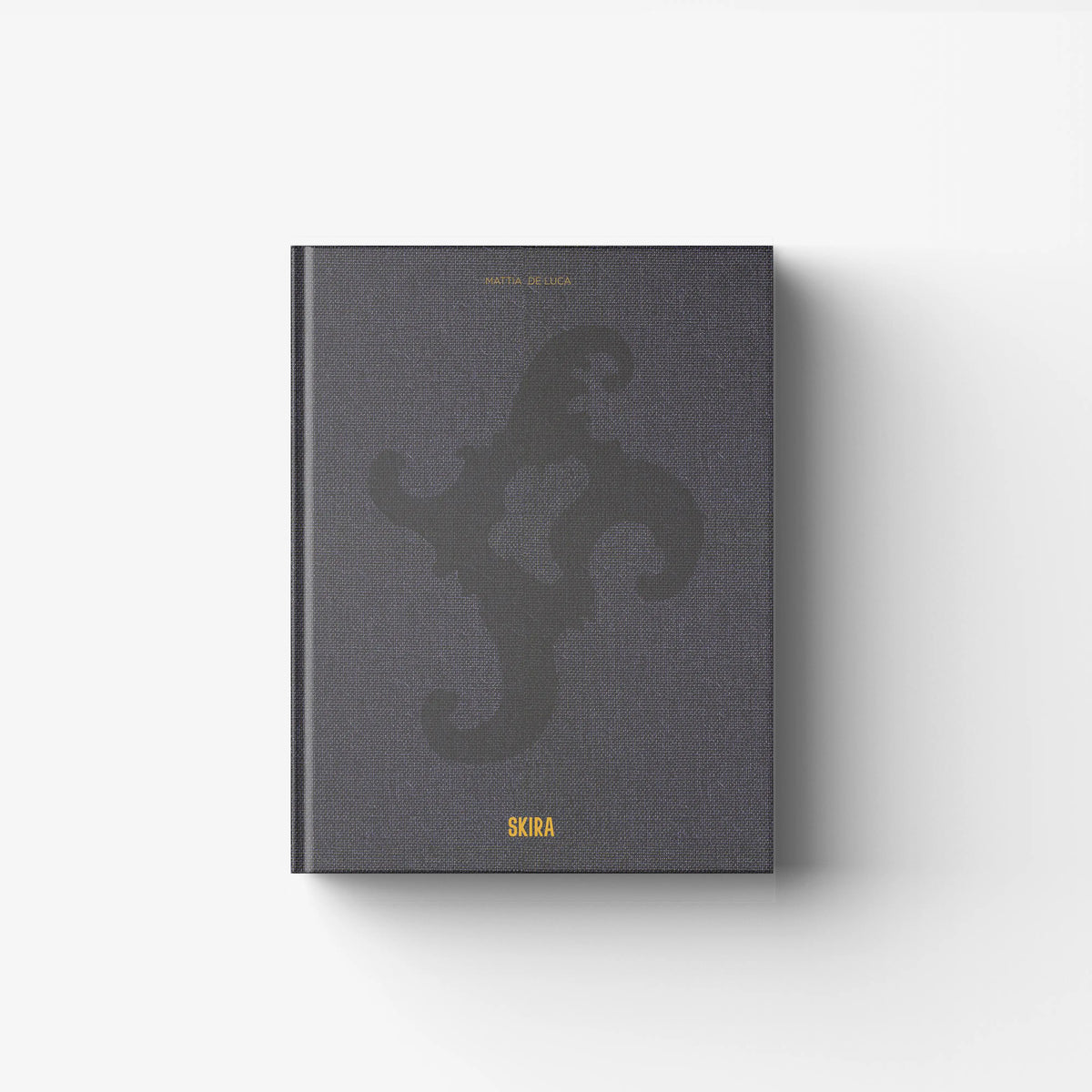Arte moderna libro d'arte Skira Arte in grigio scuro con copertina testurizzata e scritta Mattia De Luca