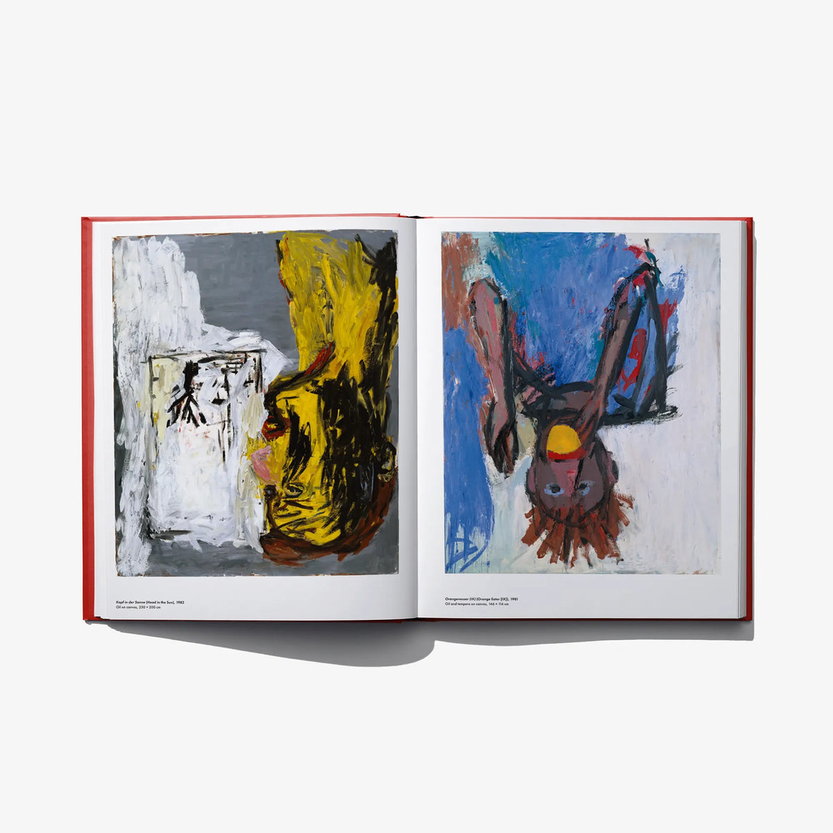 Open art book showing two colorful abstract paintings across pages