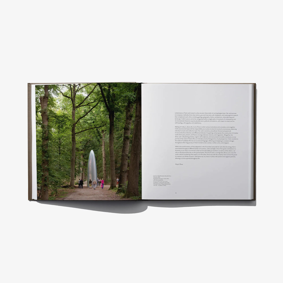 Open hardcover art book with large outdoor photo on left and text on right page