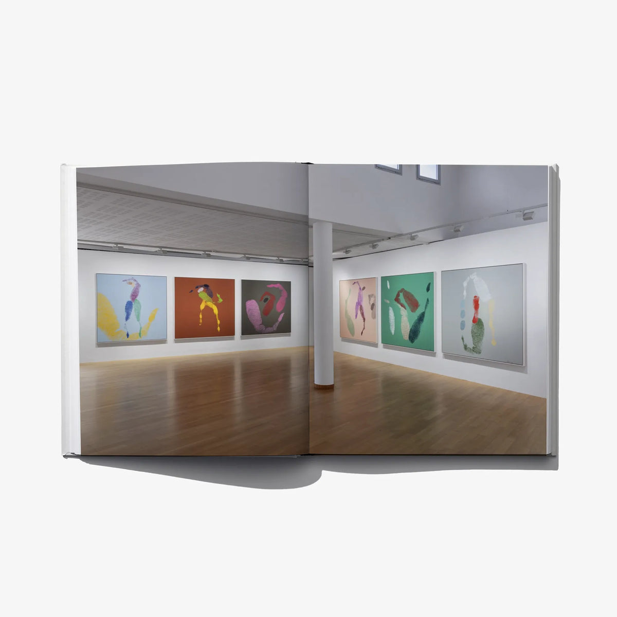 Open art book showing gallery-style wall artworks in a wide spread