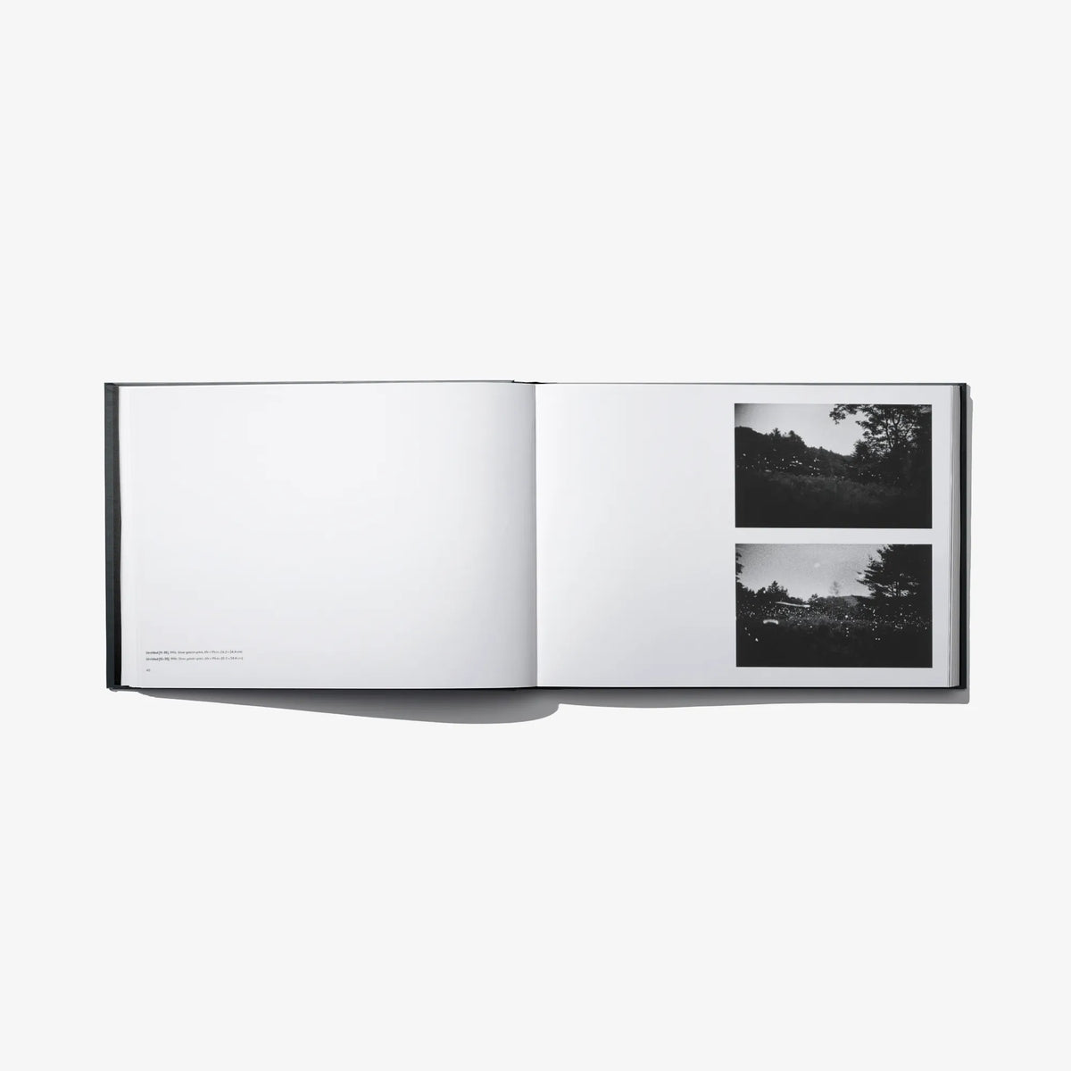 Open photo book spread with blank left page and two landscape photo panels