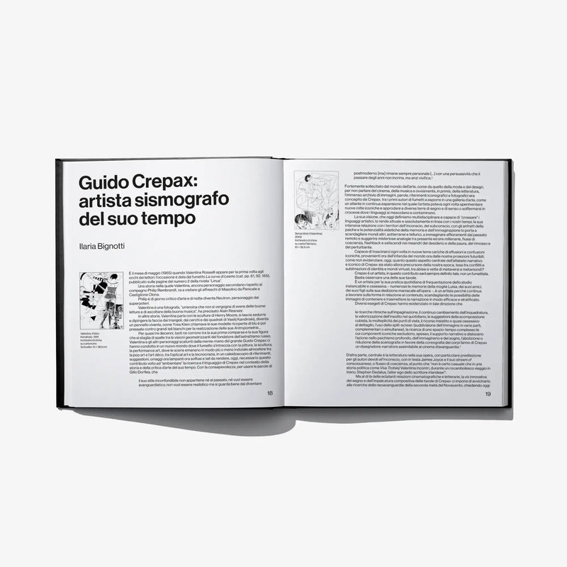 Hardcover art book open, left headline and text block, right dense paragraph text