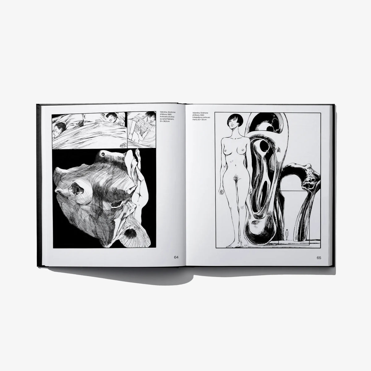 Hardcover art book open, two black-and-white illustration panels with captions
