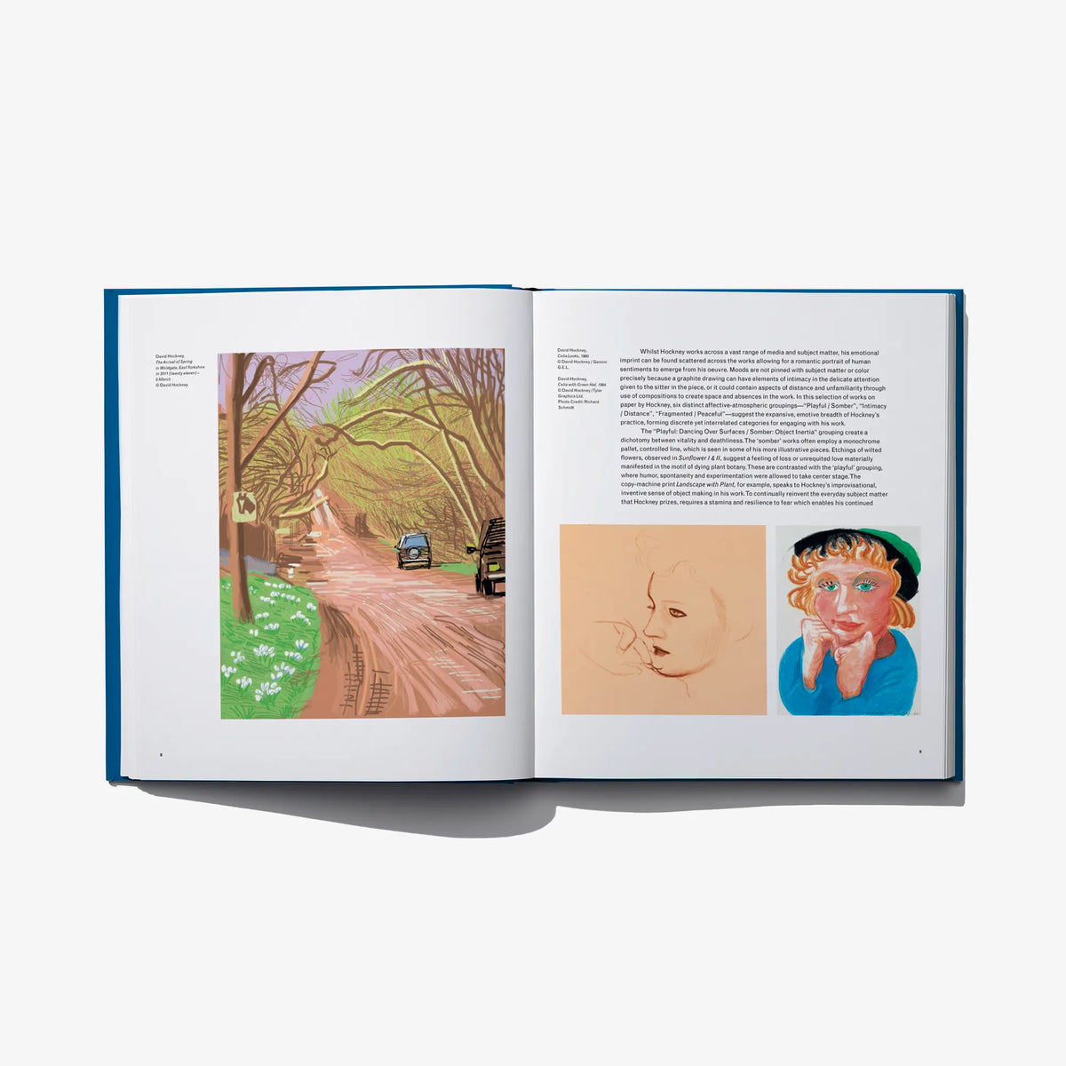 Open art book spread with colorful landscape print and two portrait artworks