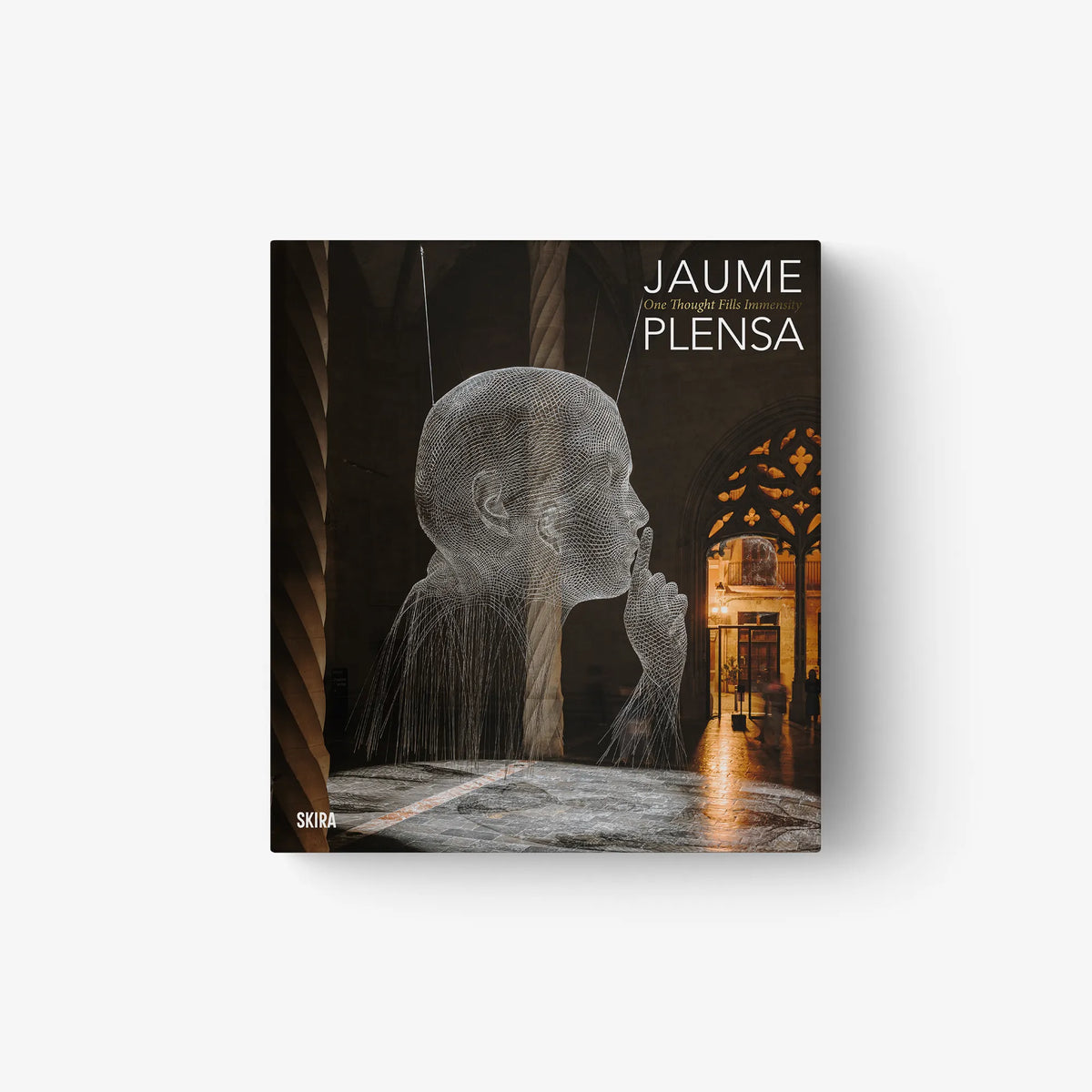 Art book cover with Jaume Plensa text and sculpted face illustration in gray