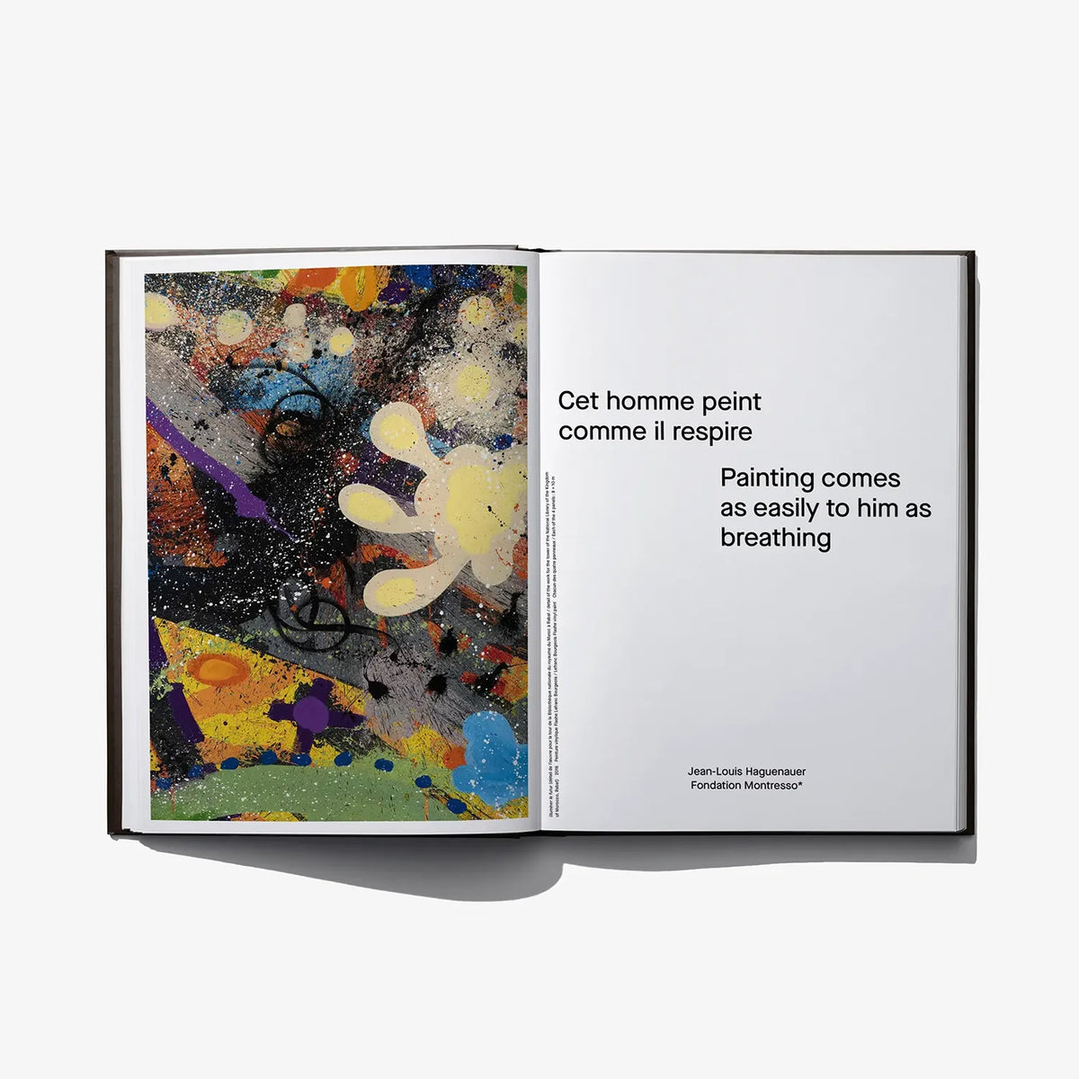 Open art book spread with colorful abstract painting on left and text on right
