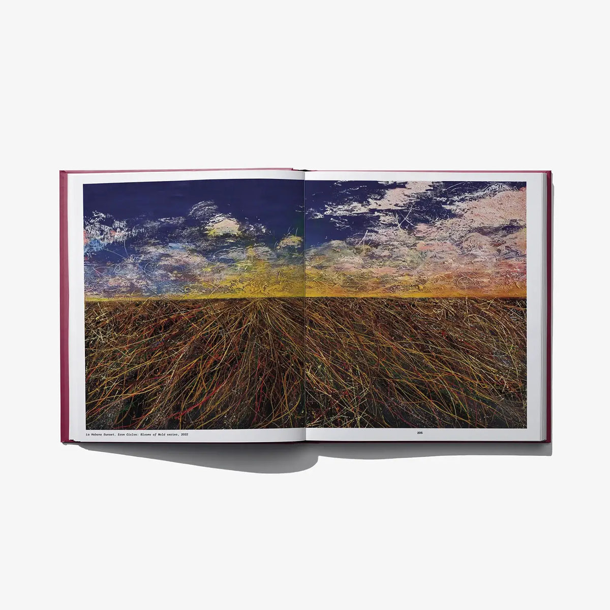 Open hardcover art book showing two-page landscape painting with blue sky