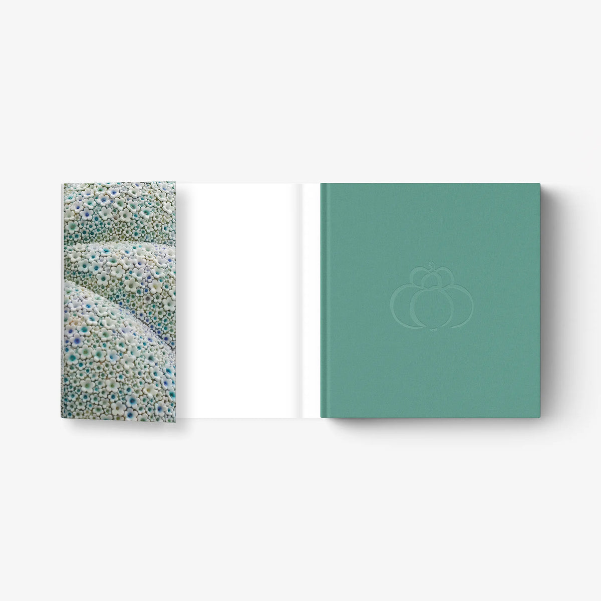 Hardcover art book with teal cover and blue-green patterned endpapers
