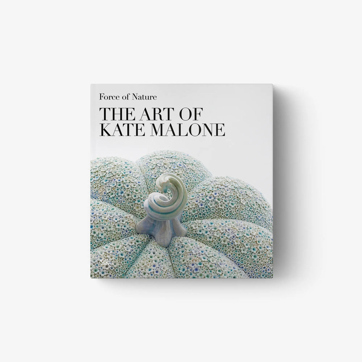 Art book front cover with title text and blue floral sculpture artwork