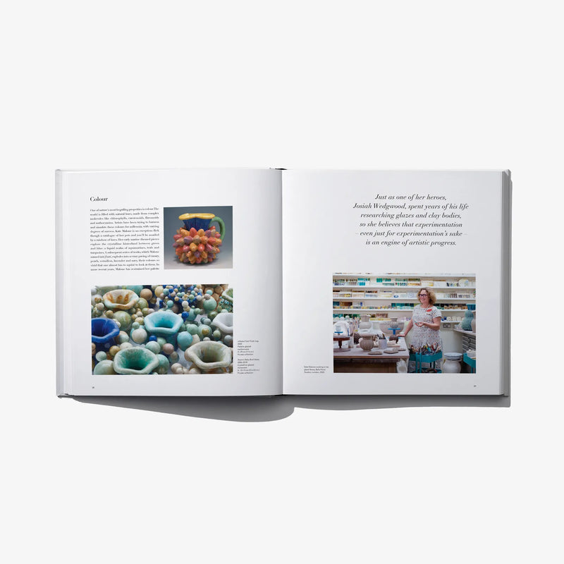 Open art book spread with close-up artwork photos and side text