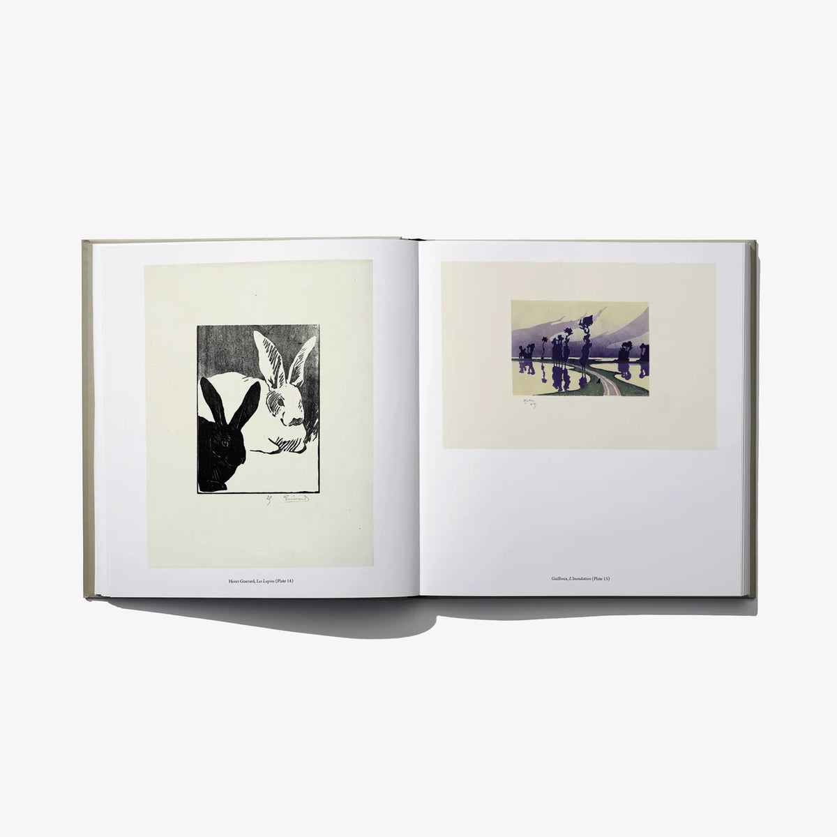 Open hardcover book with bunny print on left and street scene print on right