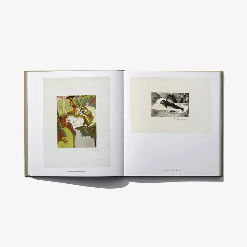 Open hardcover book with colorful bird print on left and black-and-white figure on right