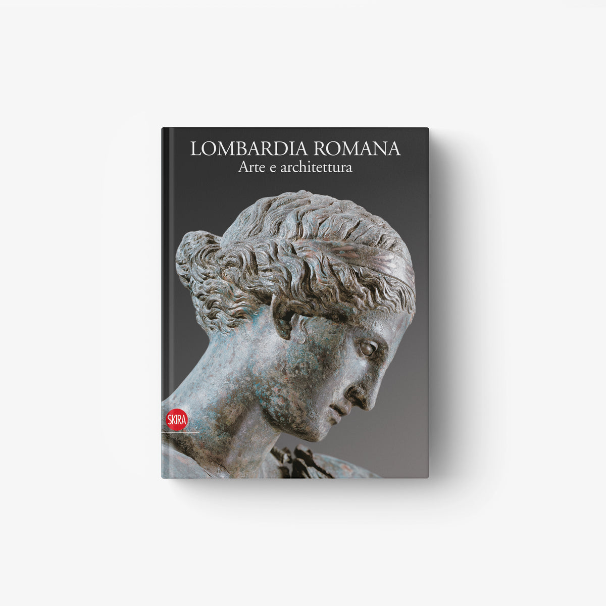 Hardcover book cover with gray marble bust profile artwork