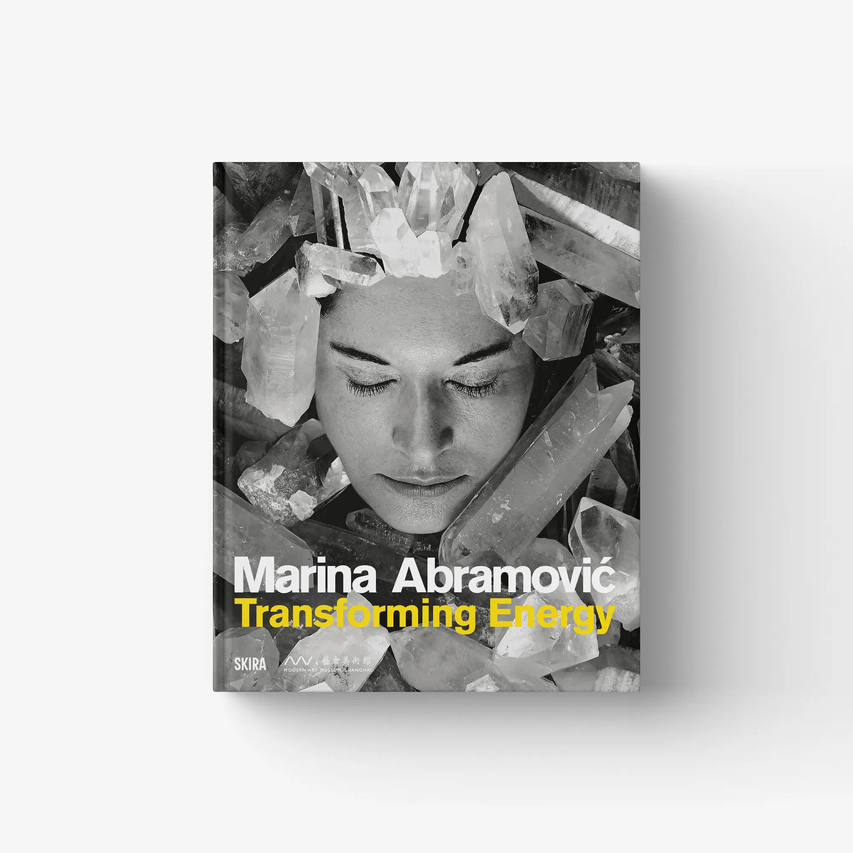 Art book cover with grayscale portrait and silver shard collage