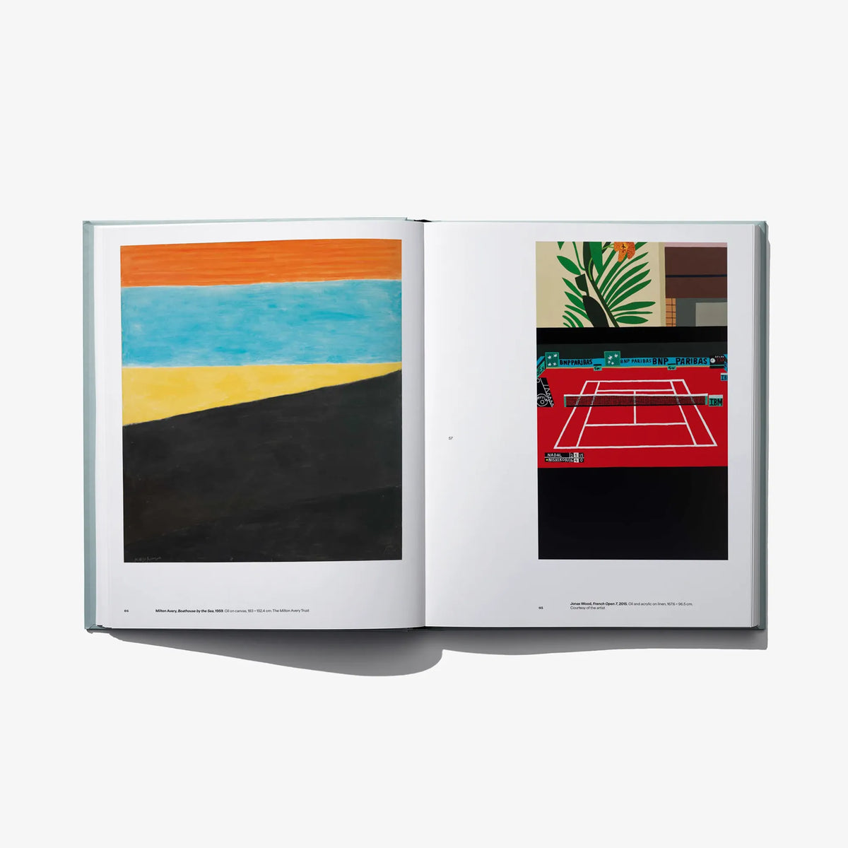 Open art book spread with landscape block colors on left and geometric artwork on right
