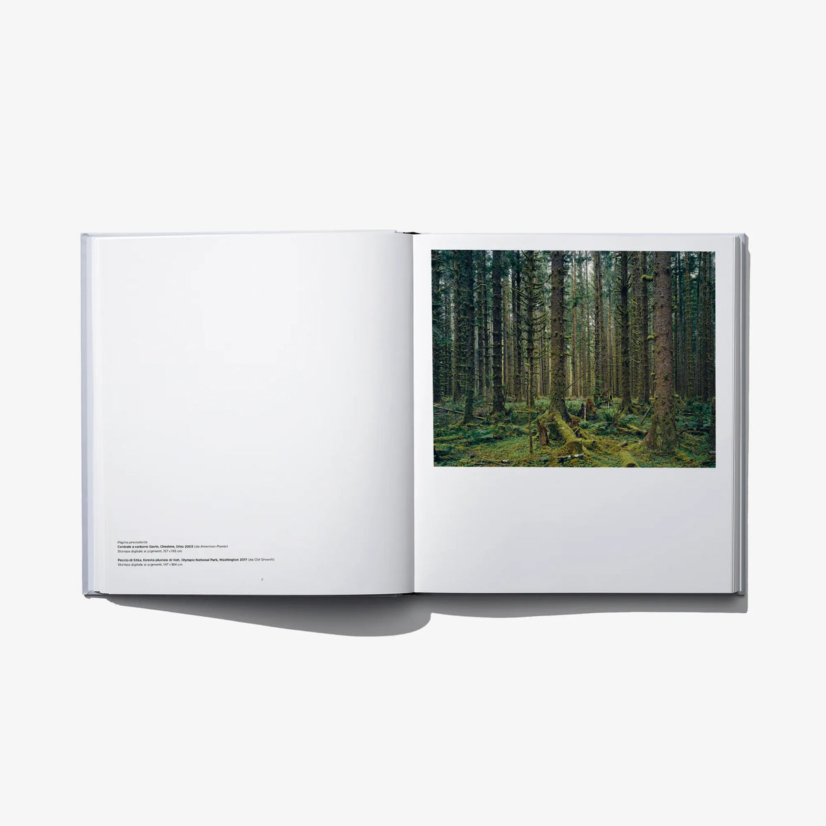 Mitch Epstein. American Nature