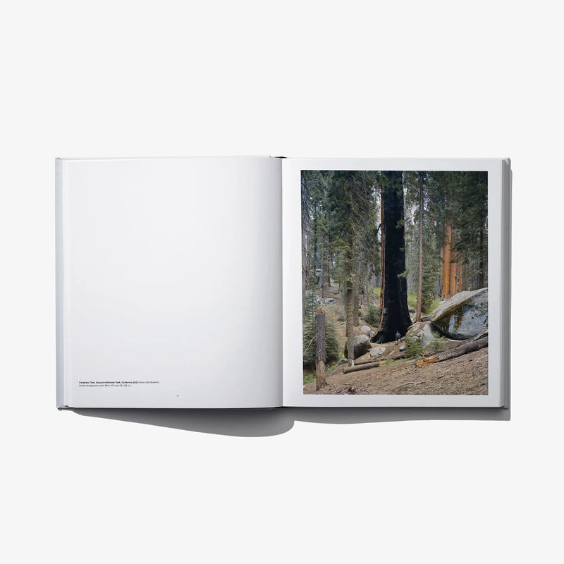 Open hardcover photo book with tall forest trees and logs photo on the right page