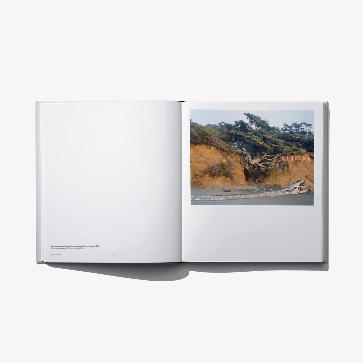 Open hardcover photo book with coastal sand dunes photo on the right page