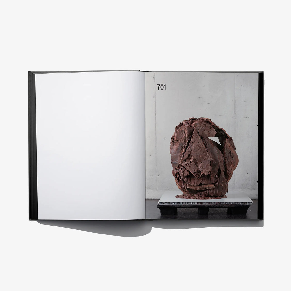 Open sketchbook spread with brown sculptural photo on right page