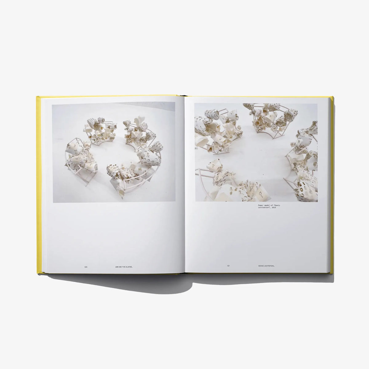 Open book spread featuring pale sculptural pieces arranged in a circular layout