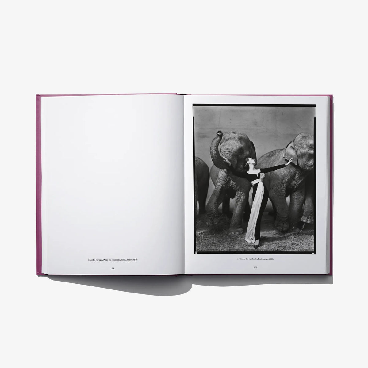 Open photo book spread with a grayscale image of posed figures holding reins