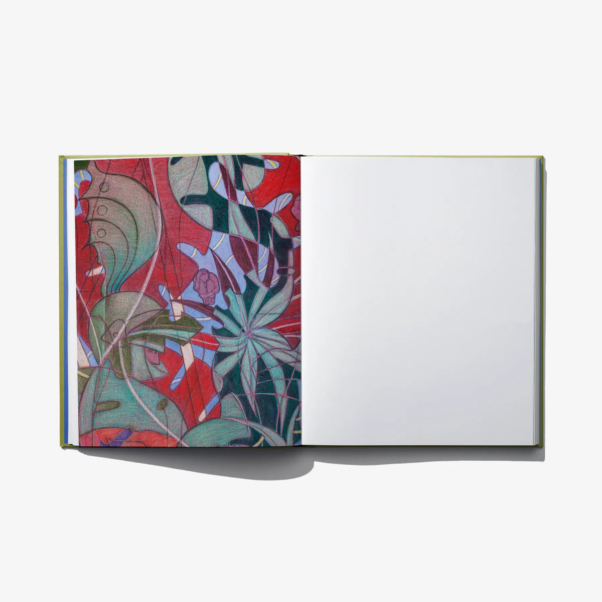 Opened art book with red and green abstract figures on left page