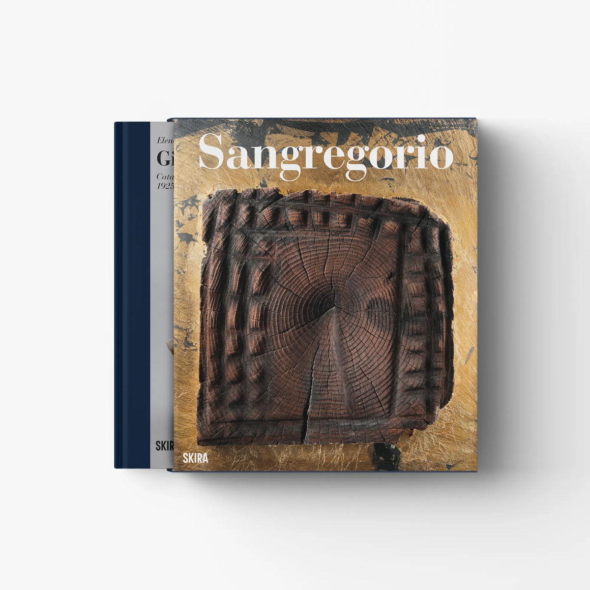 Art catalog book with cover showing an abstract sculpture on textured brown background