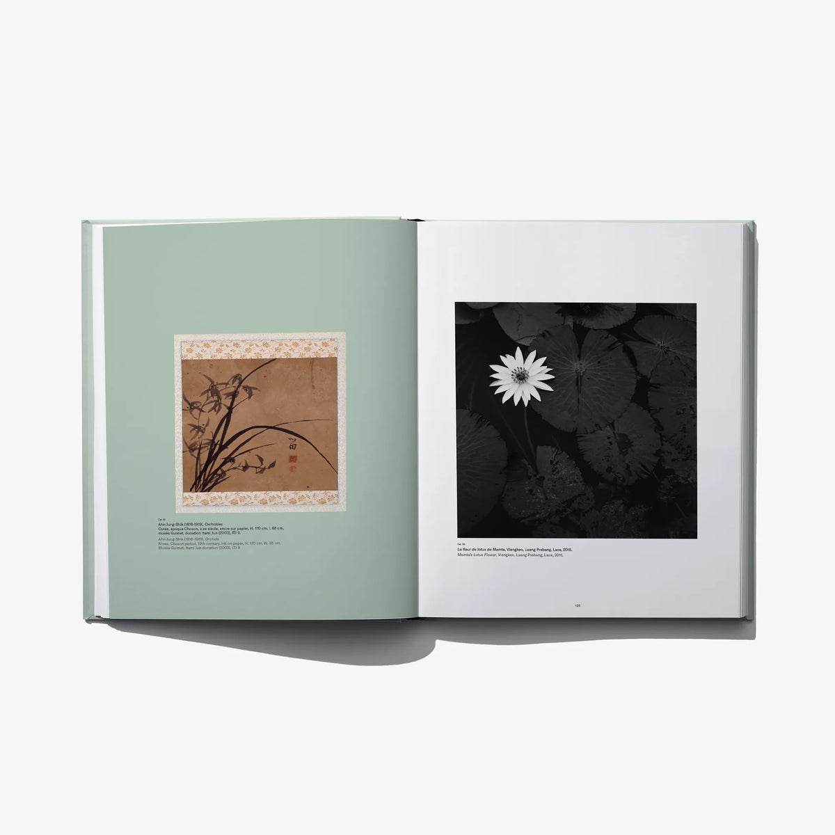 Open photo book spread with small botanical print on mint page and black flower image.