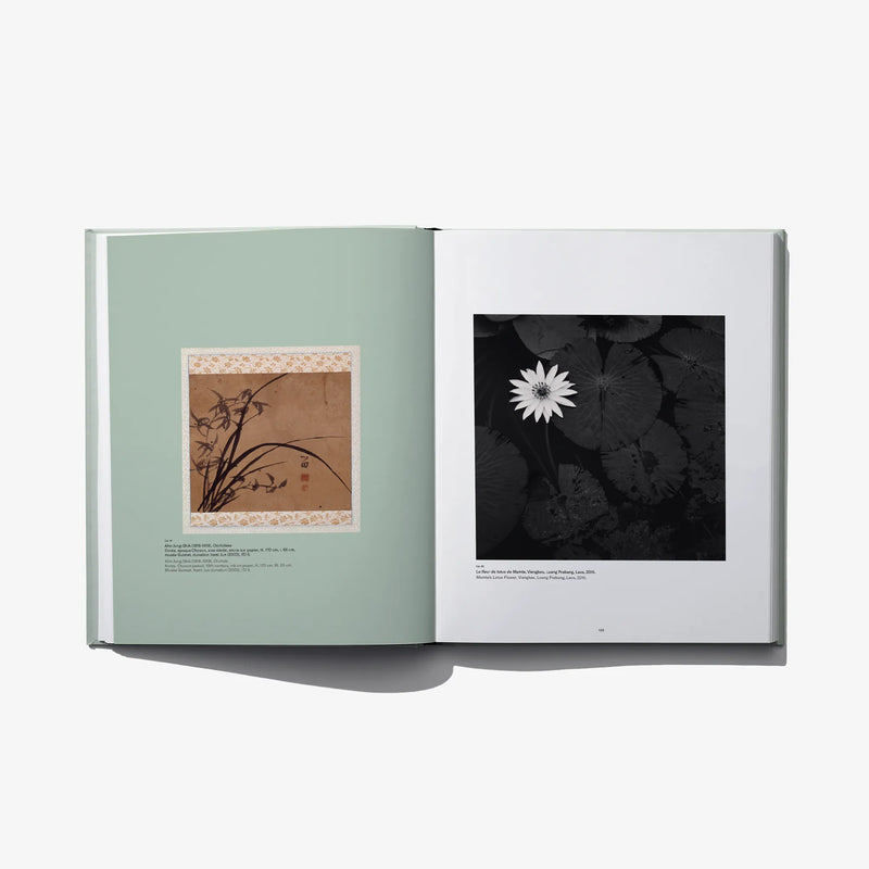 Open photo book spread with small botanical print on mint page and black flower image.